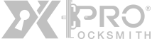 logo metalic silver